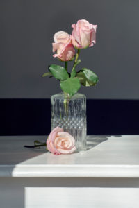 Roses in front of and in glass vase Roses in front of and in glass vase